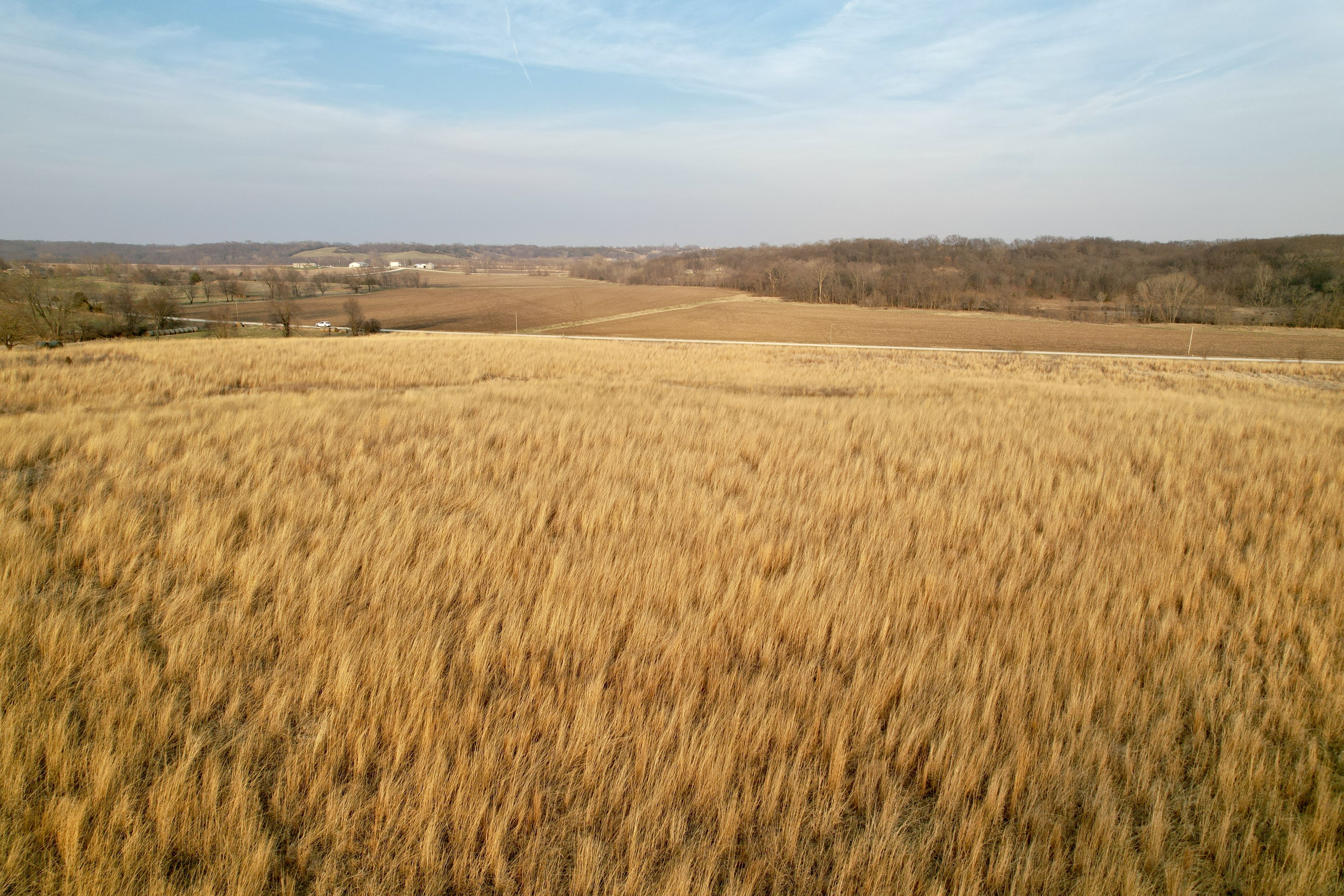 Listing Photo: Photo Mar 25 2026, 6 47 19 PM